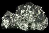 Gleaming, Cubic Pyrite Cluster - Peru #69598-1